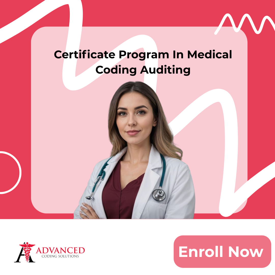 Medical Coding Auditing Training in Hyderabad